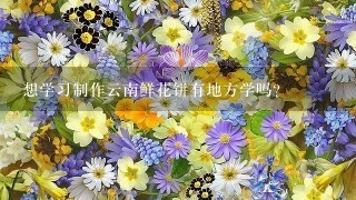 想学习制作云南鲜花饼有地方学吗？