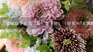 老师给学生送“花”好不好？（日更365天倒数50天之