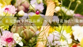 最近想换个鲜花品牌，有人听过花加么？花加的包月鲜