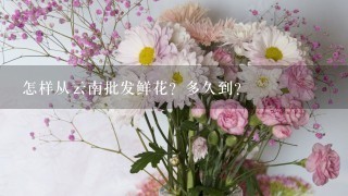 怎样从云南批发鲜花？多久到？