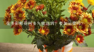 花多彩鲜花网多久能送到？要加运费吗？