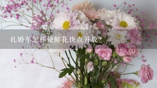 扎婚车怎样使鲜花快点开放？