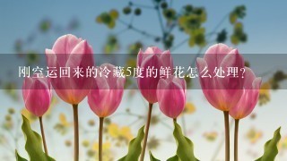 刚空运回来的冷藏5度的鲜花怎么处理？