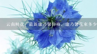 云南鲜花：最新康乃馨价格，康乃馨花束多少钱