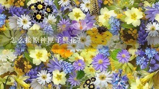 怎么接原神匣子鲜花？