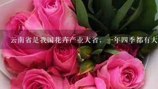 云南省是我国花卉产业大省，1年4季都有大量鲜花销往全国各地，花卉产业已成为我省许多地区经济发展的重要项目．近年来某乡的花...