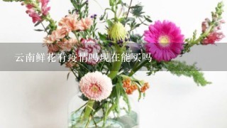 云南鲜花有疫情吗现在能买吗