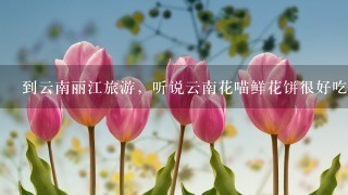 到云南丽江旅游，听说云南花喵鲜花饼很好吃，在丽江可以买到吗？