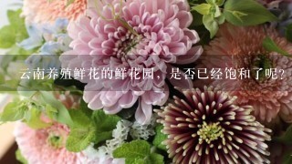 云南养殖鲜花的鲜花园，是否已经饱和了呢？