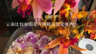 云南比较好的花卉种植基地是哪些?