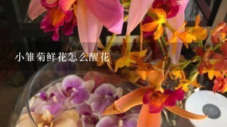 小雏菊鲜花怎么醒花