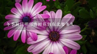 冬季从昆明邮寄鲜花到东北要多久