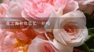 花之源和花思忆1样吗