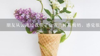 朋友从云南给我带了盒雪兰鲜花酸奶，感觉很独特，有谁喝过吗？