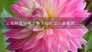 云南鲜花饼哪个牌子最正宗？求推荐。