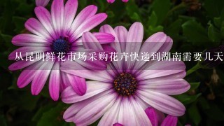 从昆明鲜花市场采购花卉快递到湖南需要几天时间？