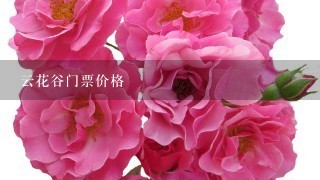 云花谷门票价格