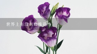 世界上有没有蜘蛛花?