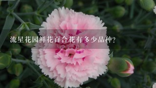 流星花园鲜花百合花有多少品种？