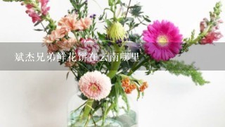 斌杰兄弟鲜花饼在云南哪里