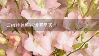 云南特色鲜花饼哪里买？