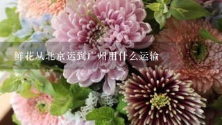 鲜花从北京运到广州用什么运输