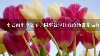 来云南出差之前，同事就说让我给她带花喵鲜花饼回去，我问她为什么只要花喵，她说花喵的鲜花饼最好吃？