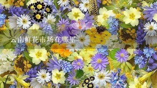 云南鲜花市场在哪里