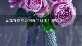 成都有没有云南鲜花饼卖？在哪里？