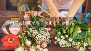 云南鲜花饼哪个牌子最正宗？求推荐。