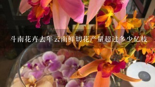 斗南花卉去年云南鲜切花产量超过多少亿枝