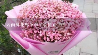 云南鲜花哪个季节最便宜