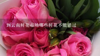 到云南鲜花市场哪些鲜花不能错过