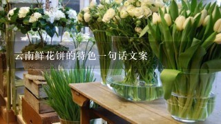 云南鲜花饼的特色1句话文案