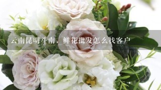 云南昆明斗南，鲜花批发怎么找客户