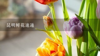 昆明鲜花速递