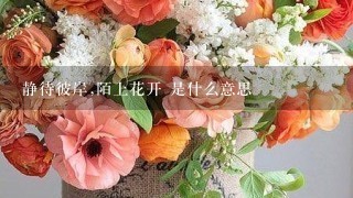 静待彼岸,陌上花开 是什么意思