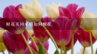 鲜花买回来后如何醒花