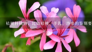 桔梗科植物，比如桔梗、羊乳、沙参的鉴别要点。