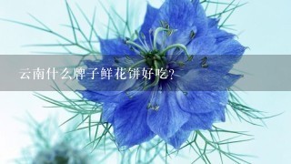 云南什么牌子鲜花饼好吃？