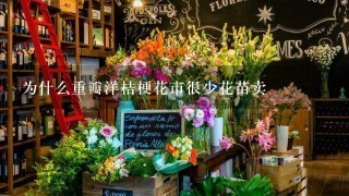 为什么重瓣洋桔梗花市很少花苗卖