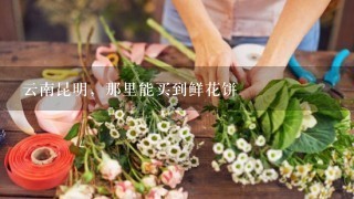 云南昆明，那里能买到鲜花饼