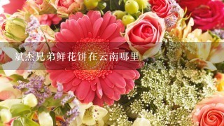 斌杰兄弟鲜花饼在云南哪里