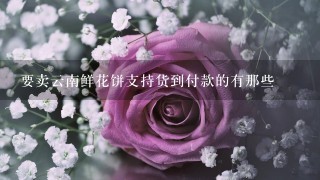 要卖云南鲜花饼支持货到付款的有那些