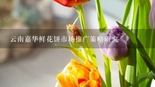 云南嘉华鲜花饼市场推广策略研究