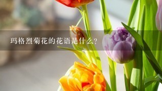 玛格烈菊花的花语是什么？
