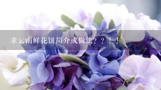 求云南鲜花饼简介或做法？？！！