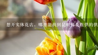 想开实体花店，哪里能找到昆明鲜花直供的供应商？