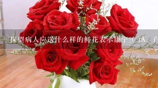 探望病人应送什么样的鲜花表示康宁?( )A、白百合B、红色康乃馨C、剑兰D、牡丹