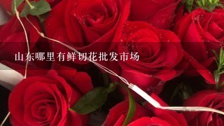 山东哪里有鲜切花批发市场